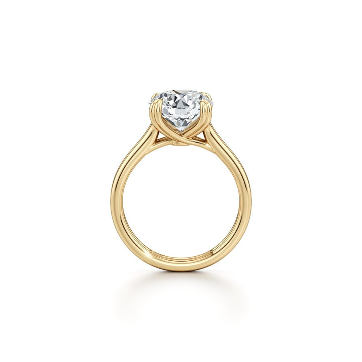 The Soleil Solitaire Engagement Ring – Round Cut – Double-Prong Double Band