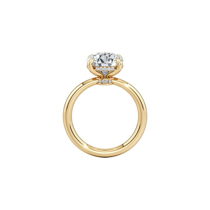 Zenith Solitaire Hidden Halo Engagement Ring - Round Cut - High Polish Band