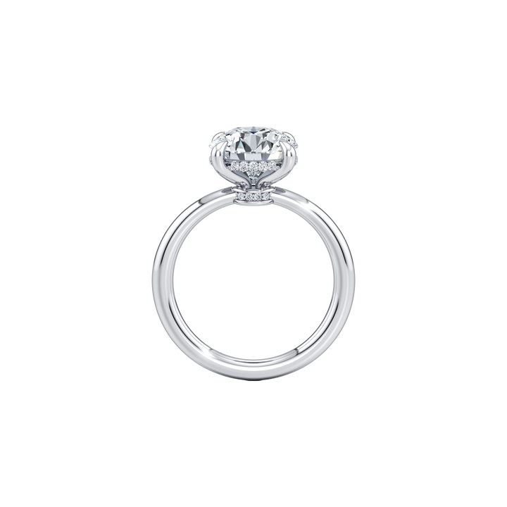 Zenith Solitaire Hidden Halo Engagement Ring - Oval Cut - High Polish Band