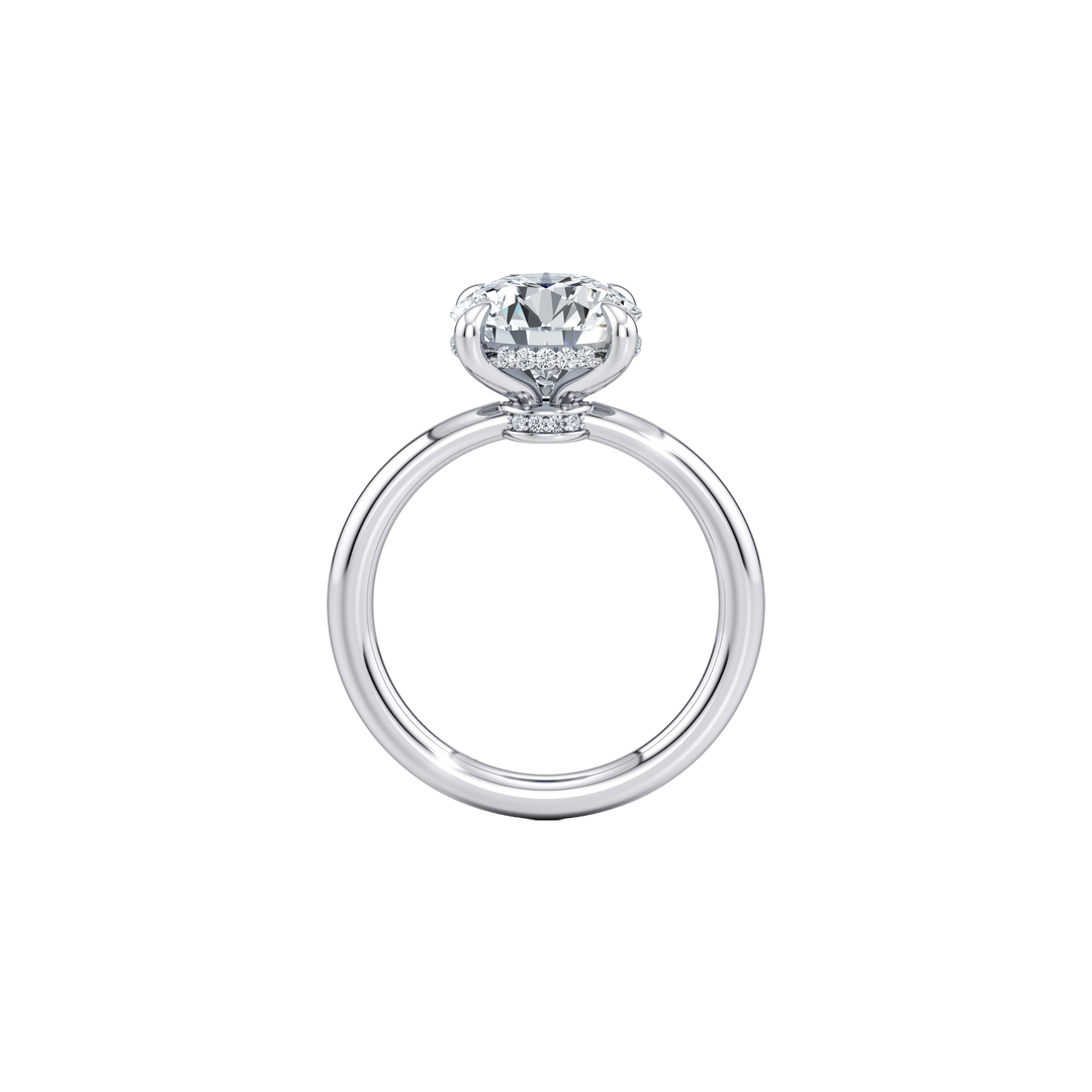 Zenith Solitaire Hidden Halo Engagement Ring - Round Cut - High Polish Band