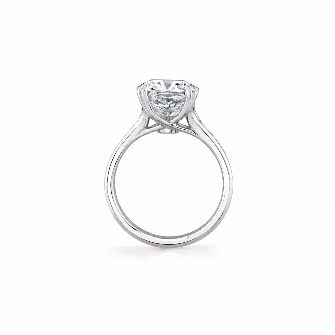 Wren Double Band Solitaire Engagement Ring – Cushion Cut – Plain High-Polish Double Band