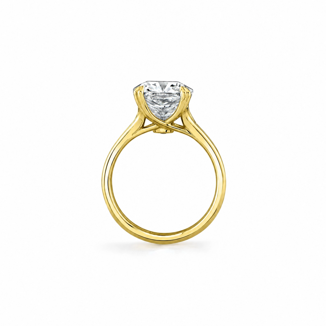Wren Double Band Solitaire Engagement Ring – Cushion Cut – Plain High-Polish Double Band