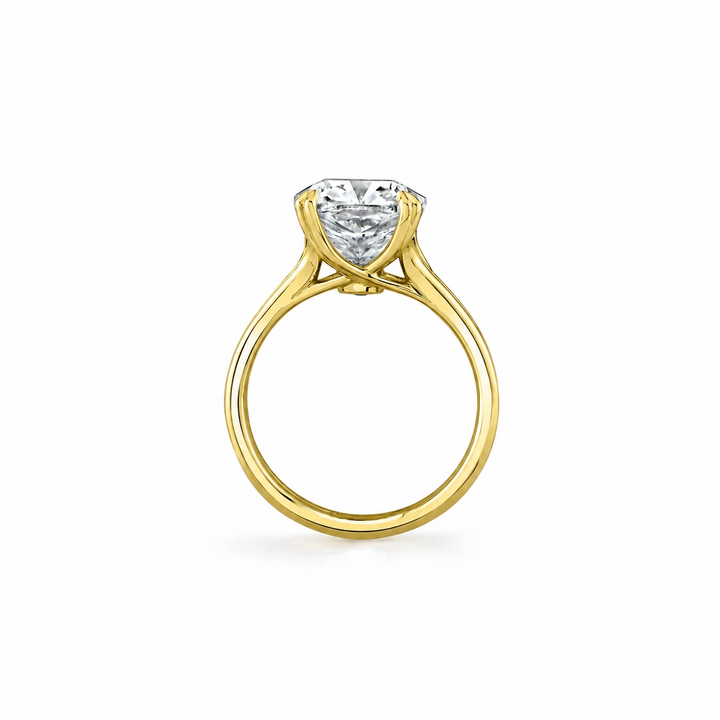 Wren Double Band Solitaire Engagement Ring – Cushion Cut – Plain High-Polish Double Band
